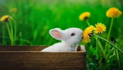 决胜盘大逆转!阿尔卡拉斯3-2小兹维 生涯首进澳网决赛