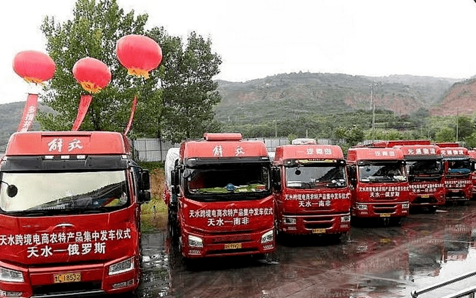 麦积区：苹果“保险+期货”项目 助力产业振兴 保障果农增收