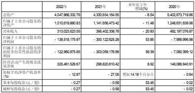安徽新力金融股份有限公司2022年度报告摘要