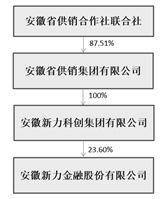 安徽新力金融股份有限公司2022年度报告摘要