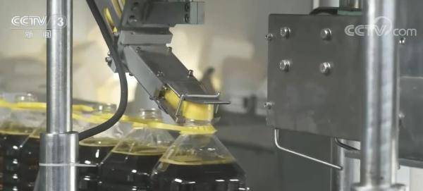 中国菜籽油等期货和期权正式引入境外交易者