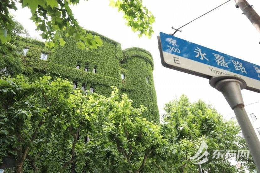 上海“网绿”大楼通体长满爬山虎<strong></p>
<p>满币网</strong>，晋升初夏打卡新地标