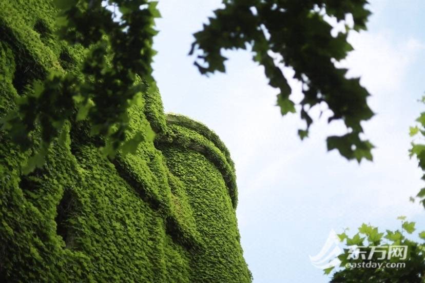 上海“网绿”大楼通体长满爬山虎<strong></p>
<p>满币网</strong>，晋升初夏打卡新地标