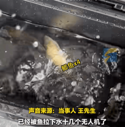 男子在家操控无人机钓鱼<strong></p>
<p>900货币</strong>,当天就钓上十几条,当事人:不要轻易尝试,已被鱼拉下水十几个无人机