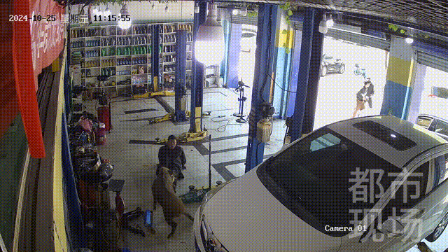 街头横冲直闯<strong></p>
<p>币币钱包</strong>，抱娃女子被撞伤，警方：已被特警击毙