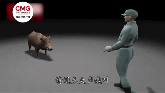 街头横冲直闯<strong></p>
<p>币币钱包</strong>，抱娃女子被撞伤，警方：已被特警击毙