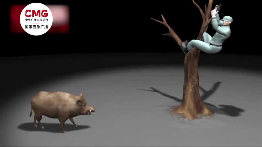 街头横冲直闯<strong></p>
<p>币币钱包</strong>，抱娃女子被撞伤，警方：已被特警击毙