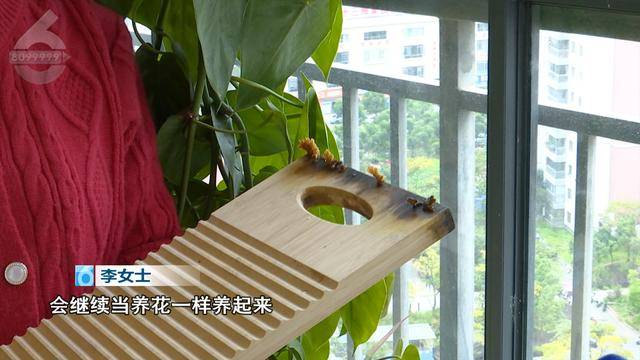 “可以蒸蛋”!昆明一女子家中搓衣板上长菌<strong></p>
<p>求软件</strong>,品种竟是……