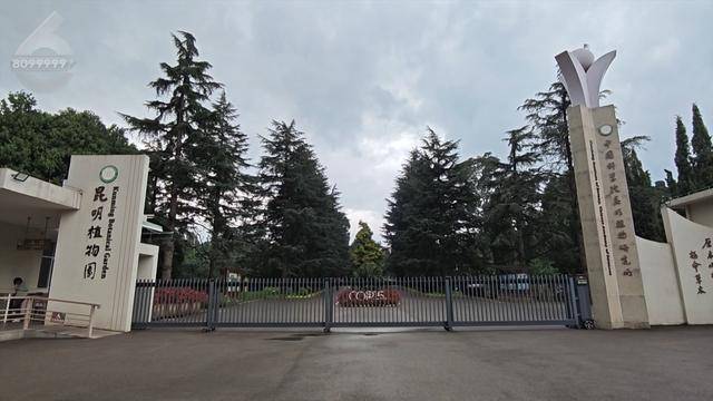 “可以蒸蛋”!昆明一女子家中搓衣板上长菌<strong></p>
<p>求软件</strong>,品种竟是……