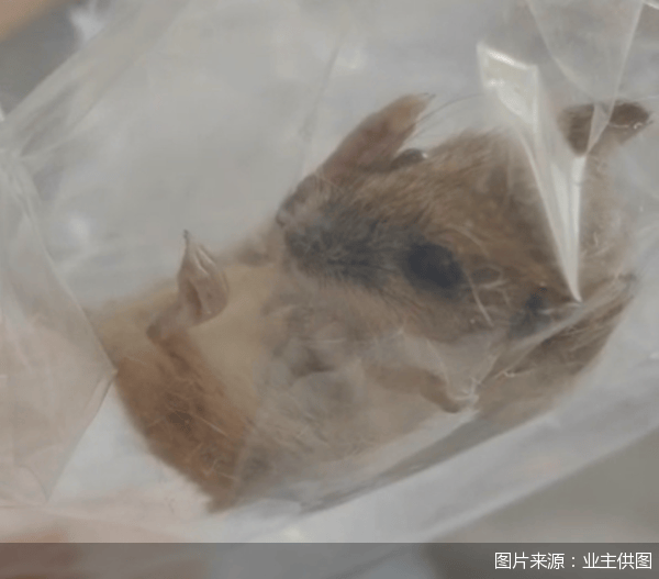 老鼠乱窜、直饮水发黄<strong></p>
<p>交易者指数</strong>,北京业主千万元买的和锦诚园居然是这样