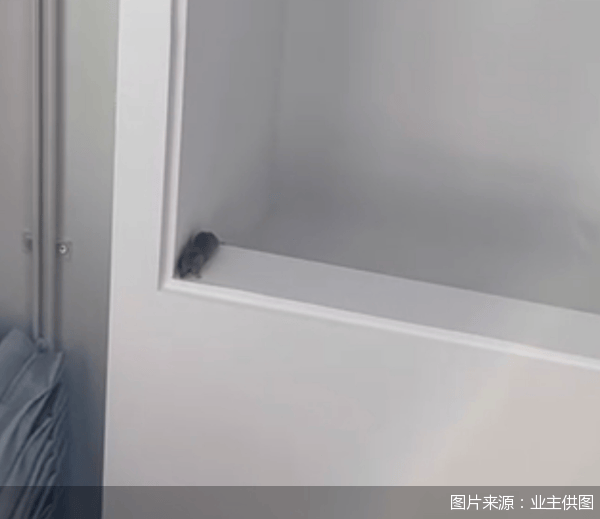 老鼠乱窜、直饮水发黄<strong></p>
<p>交易者指数</strong>,北京业主千万元买的和锦诚园居然是这样