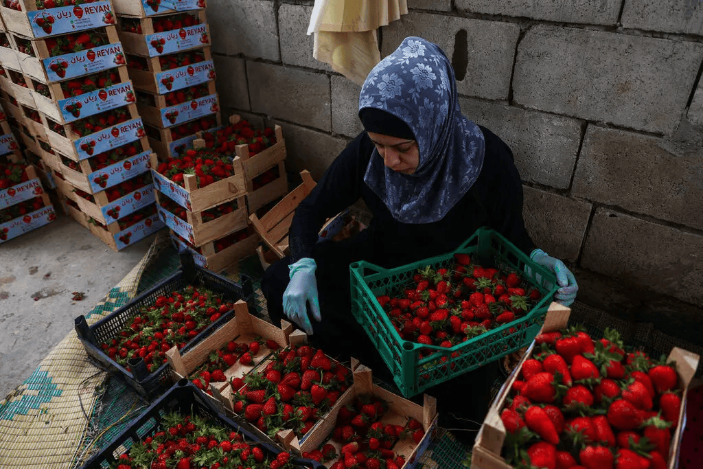 叙利亚战火持续<strong></p>
<p>zec币行情</strong>，攻下阿勒颇的反对派武装到底什么来头？在下一盘什么棋？