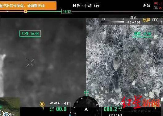 揭秘“野猪猎捕队”丨海拔3000米高山密林<strong></p>
<p>货币定价</strong>,记者跟队直击猎捕野猪全过程