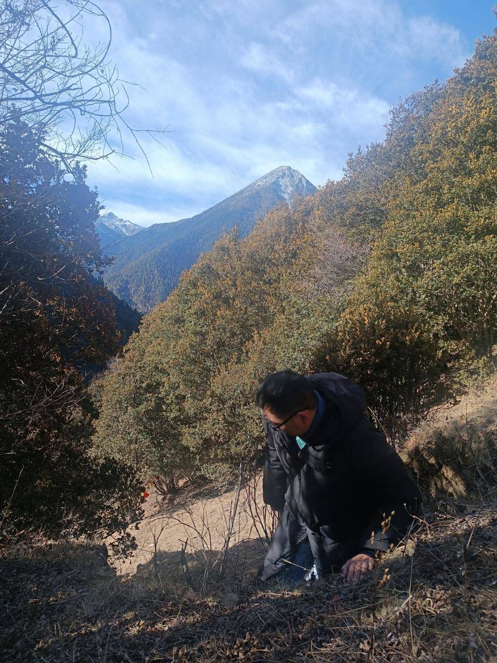 揭秘“野猪猎捕队”丨海拔3000米高山密林<strong></p>
<p>货币定价</strong>,记者跟队直击猎捕野猪全过程