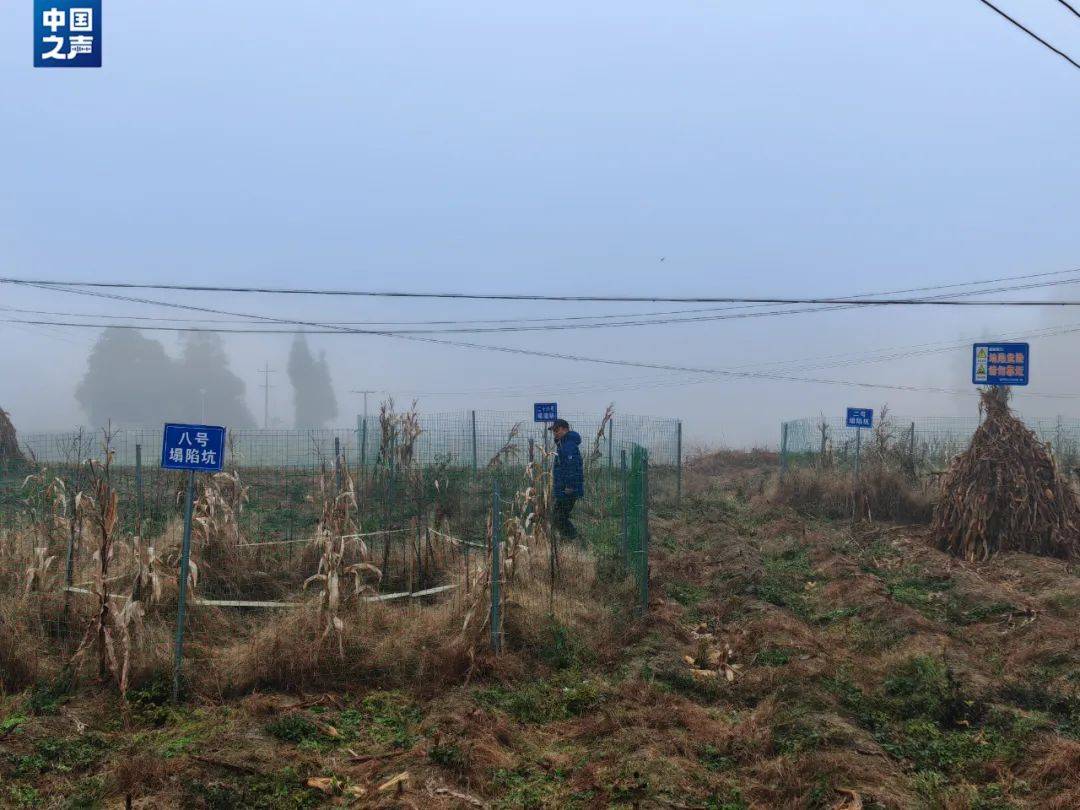 贵州一地发生30多处地面塌陷<strong></p>
<p>货币定价</strong>！咋回事？