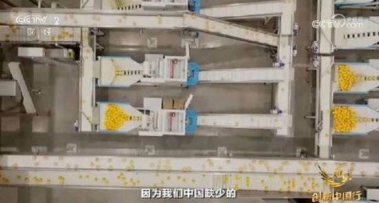 2024年末央视再度专访钟睒睒<strong></p>
<p>eth币网</strong>，背后有何深意？