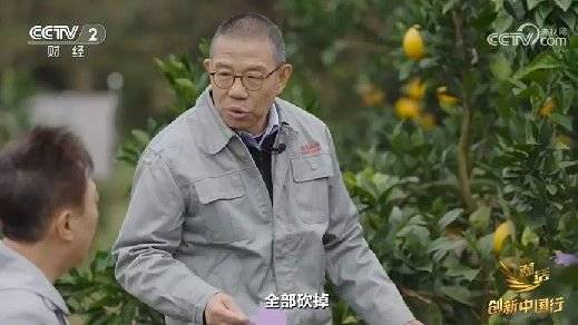 2024年末央视再度专访钟睒睒<strong></p>
<p>eth币网</strong>，背后有何深意？