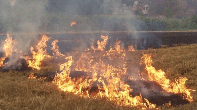 唐山各乡镇、村落一律禁止<strong></p>
<p>有币网</strong>！多名村民被罚