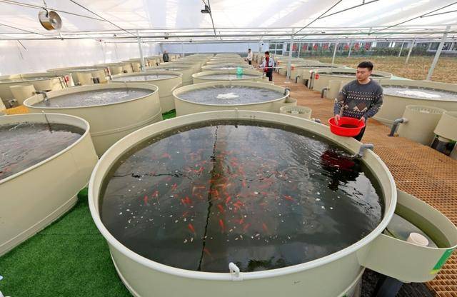 聚焦新春第一会｜大V“博浪财经社”：四大原因<strong></p>
<p>币币</strong>，解读山东新春第一会为什么聚焦“改革创新”？