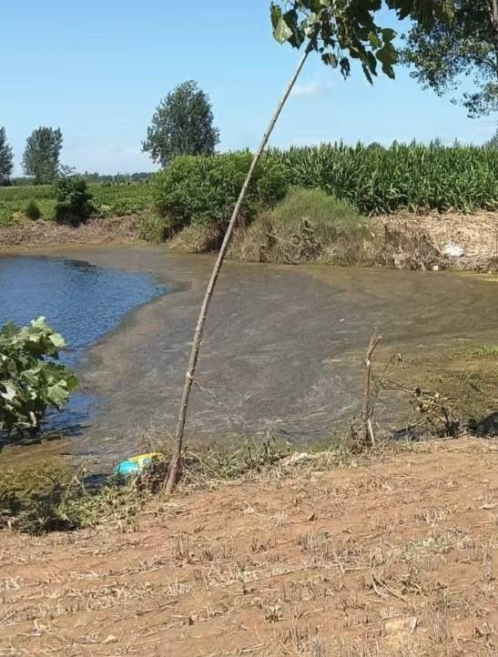 “女生遭侵犯落水被阻挡上岸至溺亡”案续：检方提起抗诉<strong></p>
<p>买币好</strong>，建议死刑