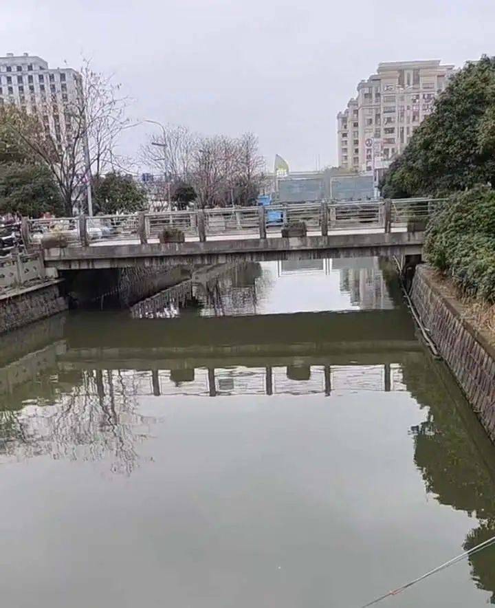 痛心!她于凌晨不幸去世<strong></p>
<p>软件算法</strong>,年仅19岁