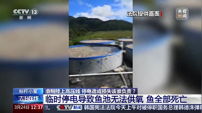 深圳女子被挂高压线！停电救援<strong></p>
<p>虚拟软件</strong>，9池鱼死光！他怒上法庭……