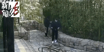 太猖狂!事发上海迪士尼<strong></p>
<p>算网软件</strong>,7人被刑拘