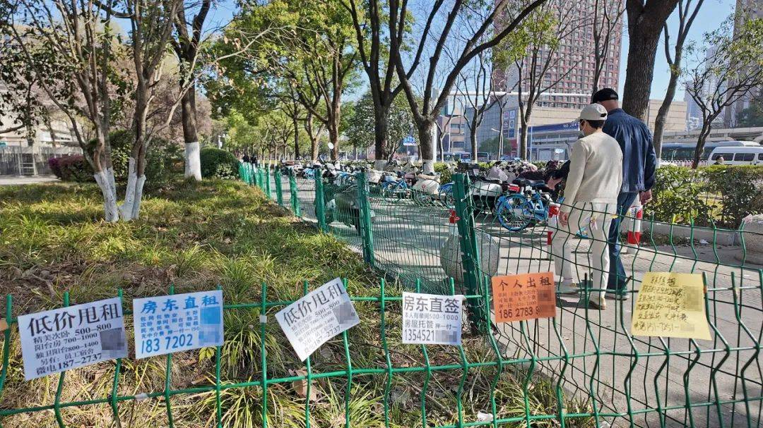 一二线城市房租普降<strong></p>
<p>算网软件</strong>，房东主动降200留我