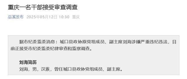 重庆一名干部接受审查调查