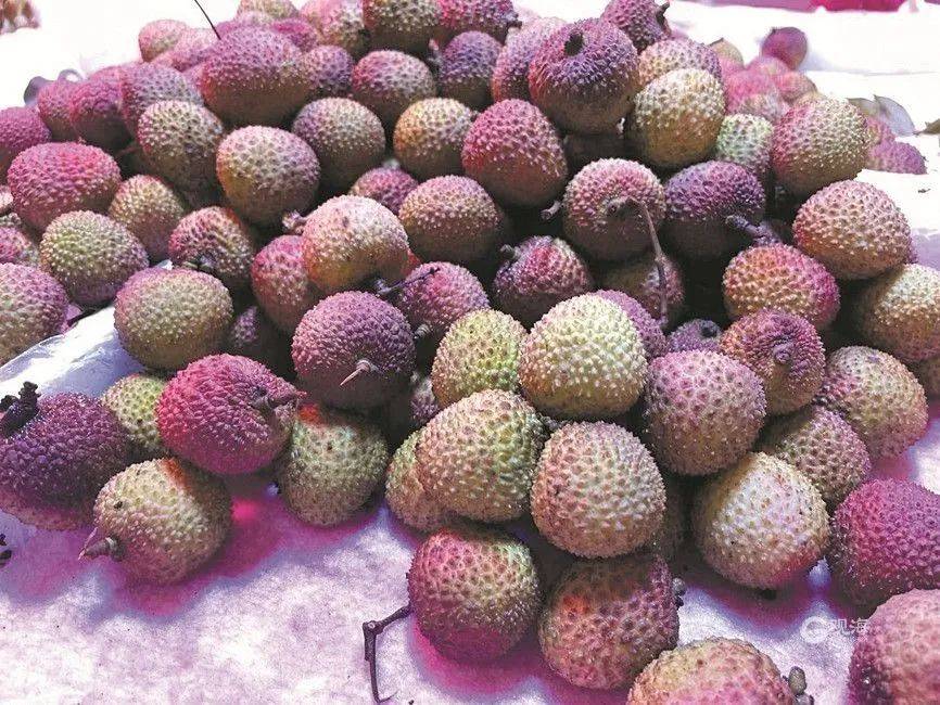 大跳水<strong></p>
<p>矿币</strong>,暴跌40%!老板:一天一个价,估计还要跌