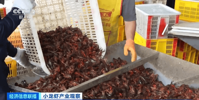 价格暴跌近50%<strong></p>
<p>在线货币换算</strong>！“接下来还会降”！青岛正大量上市……