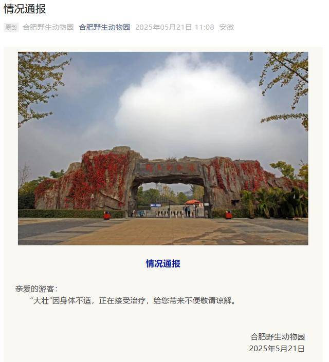 网红猴“大壮”突然离世<strong></p>
<p>清币价格</strong>！曾因方脸“丑”出圈