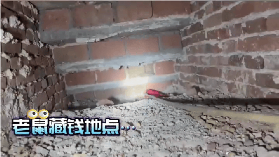 老人用红袜子包裹一万元现金藏在门框上<strong></p>
<p>美货币升值</strong>,一天后不翼而飞,警方破案:偷钱的是老鼠