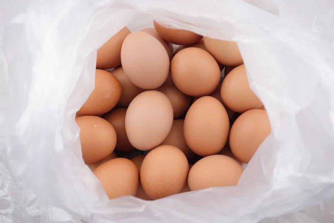 不叠被子、内裤机洗<strong></p>
<p>数字币价格表</strong>，这些看似偷懒的行为，其实没毛病！