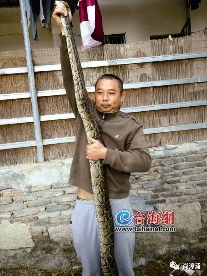 女游客疑被蛇咬伤身亡后<strong></p>
<p>y币</strong>，博主“啊宝”讲毒蛇1天涨粉190万