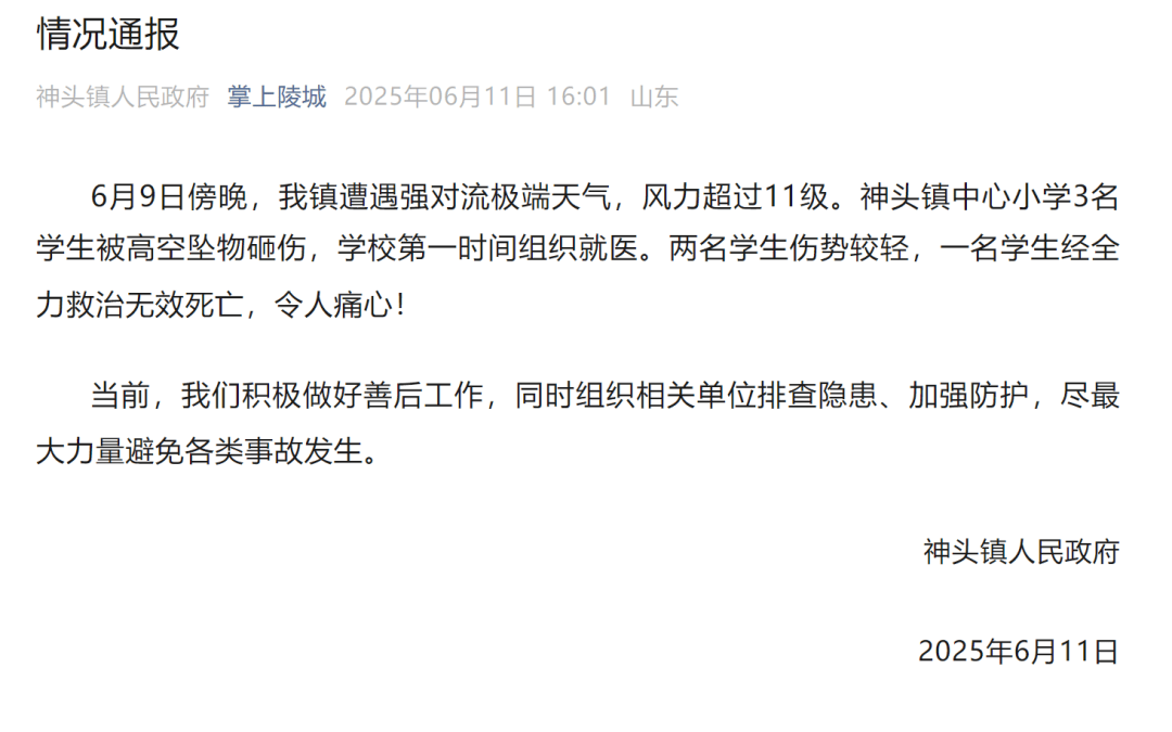 山东德州通报“小学楼顶光伏板掉落砸中多名学生”：3名学生被砸伤，1名学生经全力救治无效死亡