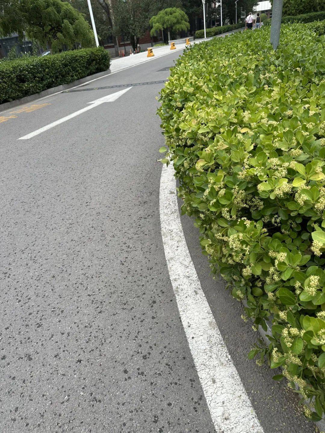 下雨了<strong></p>
<p>宝石</strong>!天津接下来十天都是……