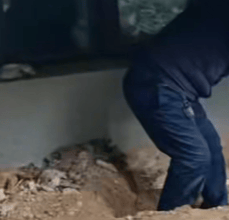 河南长垣女子购买一楼房子在院子里挖出疑似人体骨头<strong></p>
<p>保障局</strong>,警方介入!物业:多方协调中