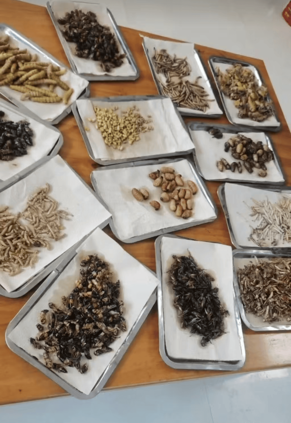 山东临沂通报“蛤蟆汤”饭店被拟罚45万：撤销处罚<strong></p>
<p>比特儿交易网</strong>，5人停职