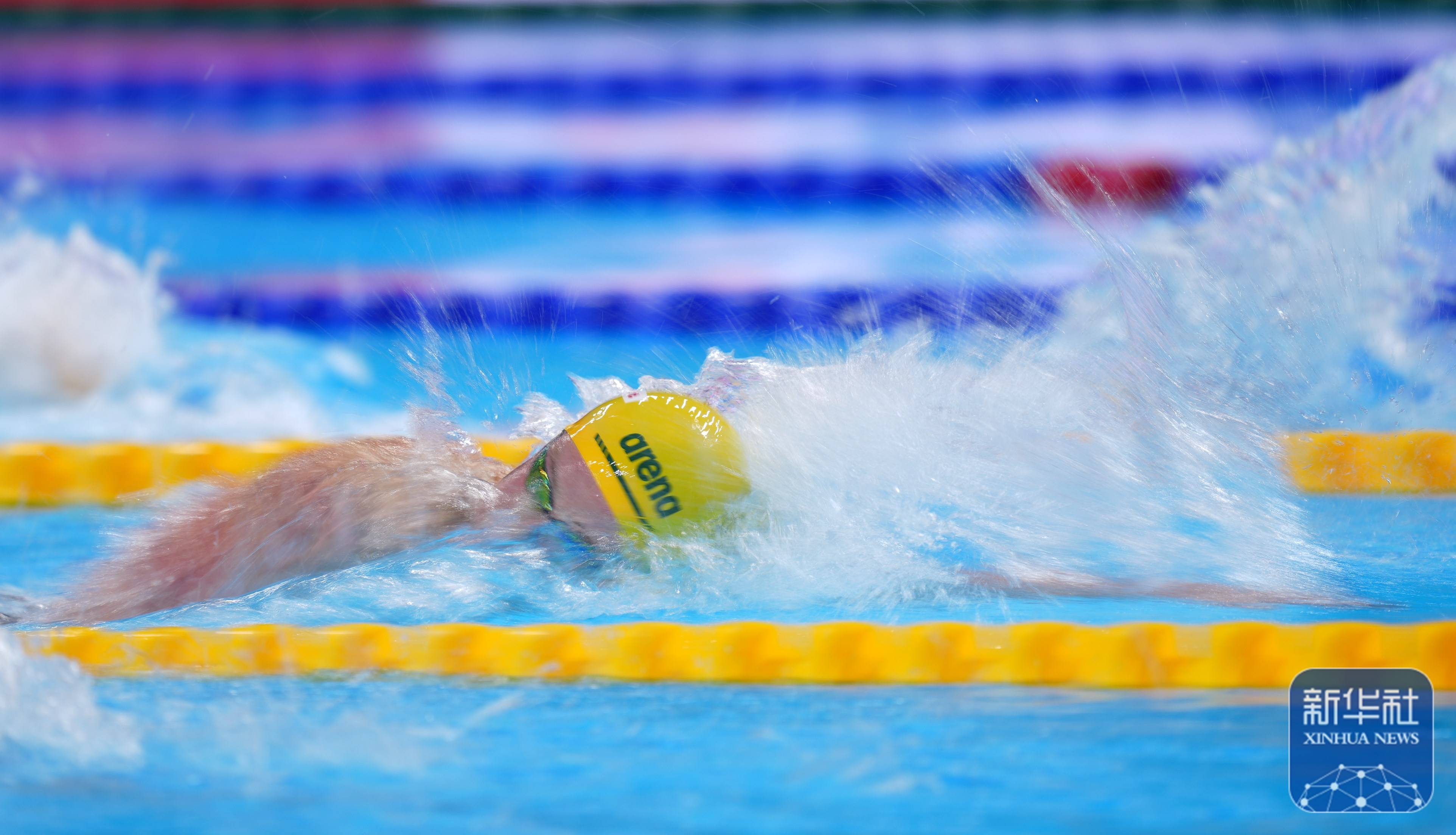 游泳世锦赛丨德国选手夺男子400米自由泳冠军 中国选手张展硕获第五名