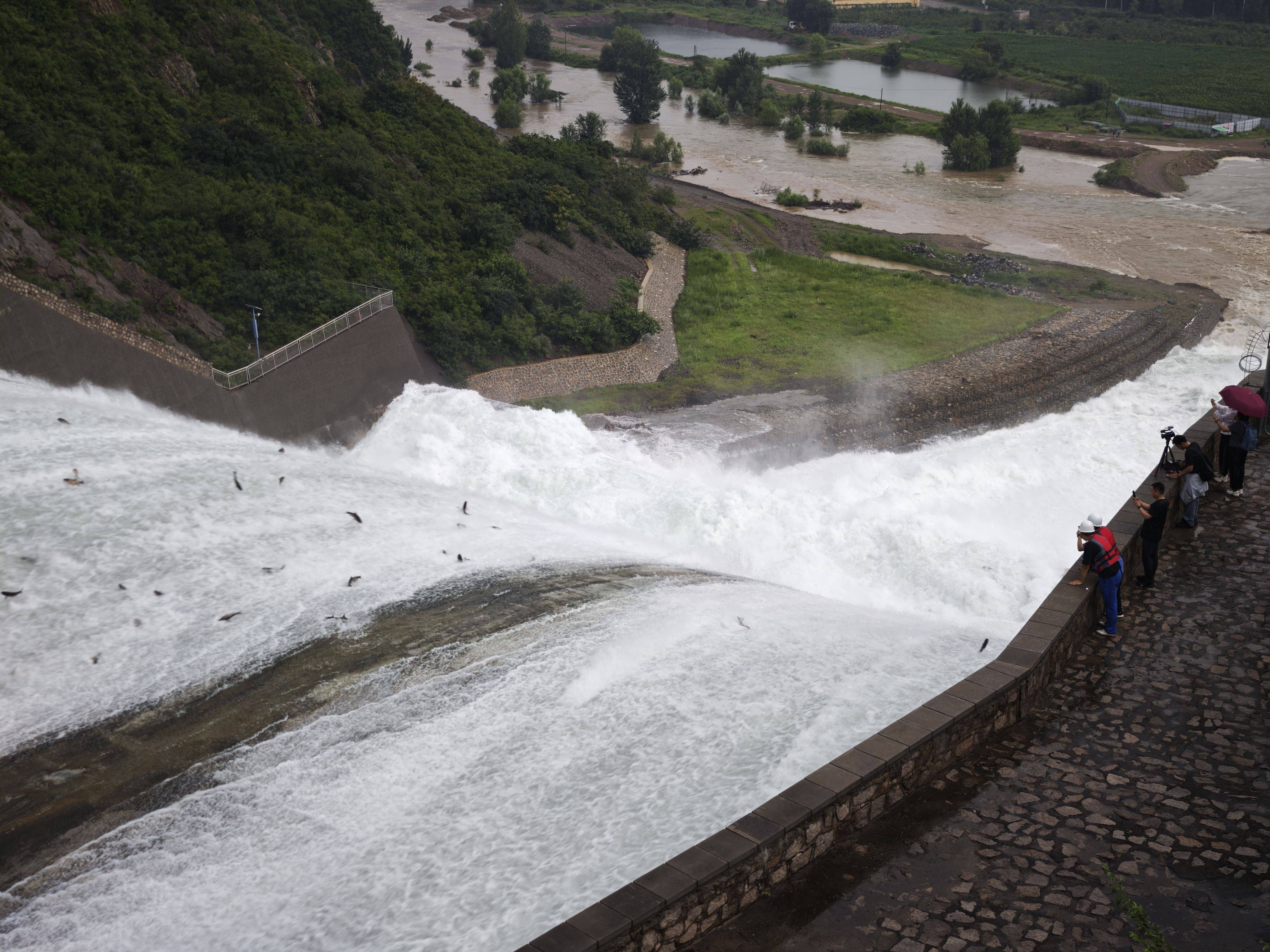密云水库开闸泄流<strong></p>
<p>比特派</strong>,大量“水质卫士”鲢鳙顺流而下