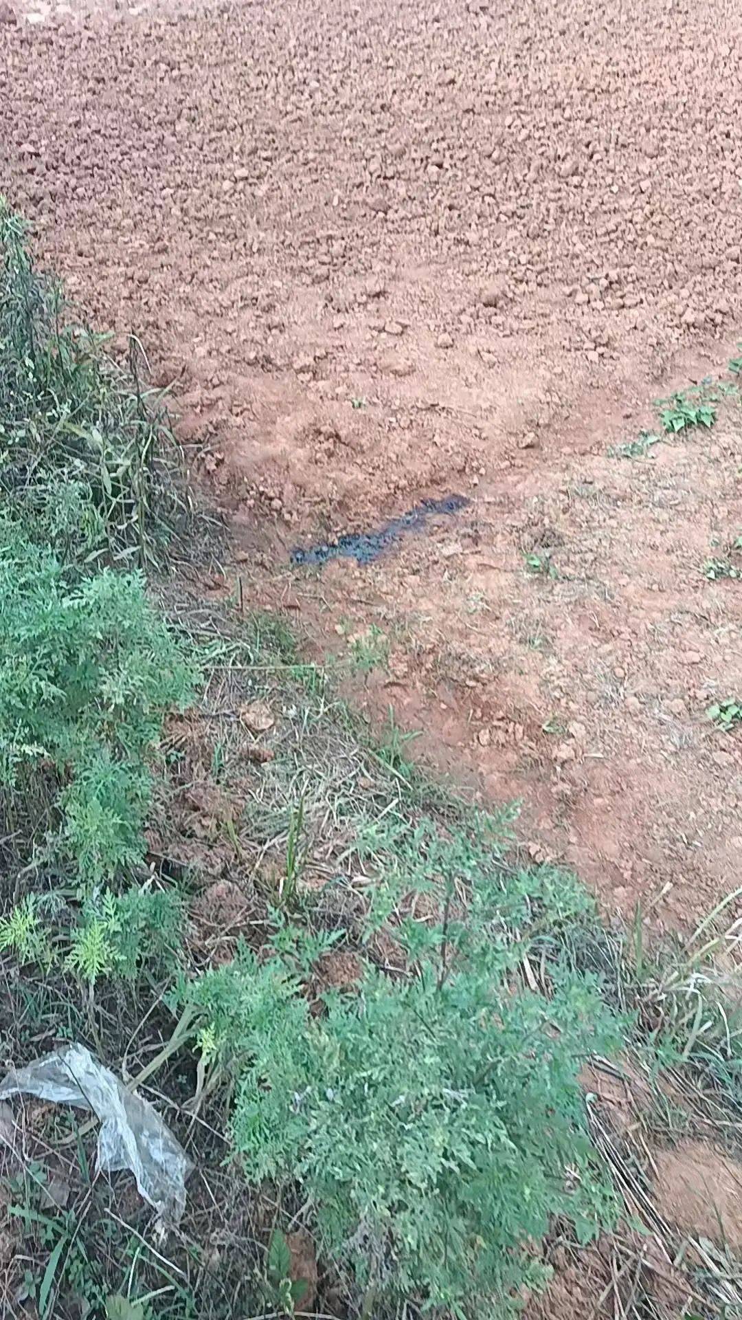 工人被误当猎物枪击身亡<strong></p>
<p>比特派客服</strong>，警方通报：屈某某、罗某某被刑拘