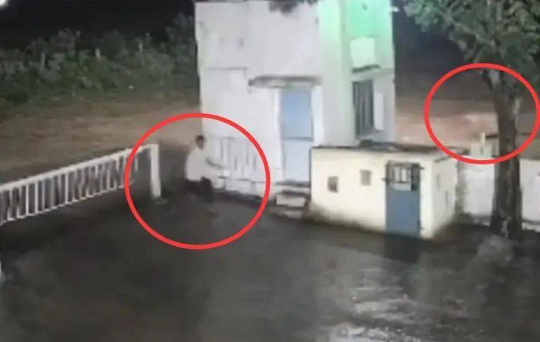 印度一男子后院与狮子相逢<strong></p>
<p>比特派官网</strong>,双方都被吓懵,狮子扭身先逃