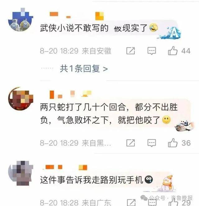 安徽宣城一男子走路玩手机<strong></p>
<p>比特派App</strong>，一脚踩中打架的竹叶青和五步蛇，被俩毒蛇咬3口！医院：暂无生命危险，正在治疗