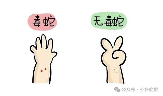 安徽宣城一男子走路玩手机<strong></p>
<p>比特派App</strong>，一脚踩中打架的竹叶青和五步蛇，被俩毒蛇咬3口！医院：暂无生命危险，正在治疗