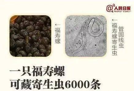 别吃！寄生虫多达6000条！浙江一地大量出现<strong></p>
<p>比特派身份</strong>，看到立刻上报