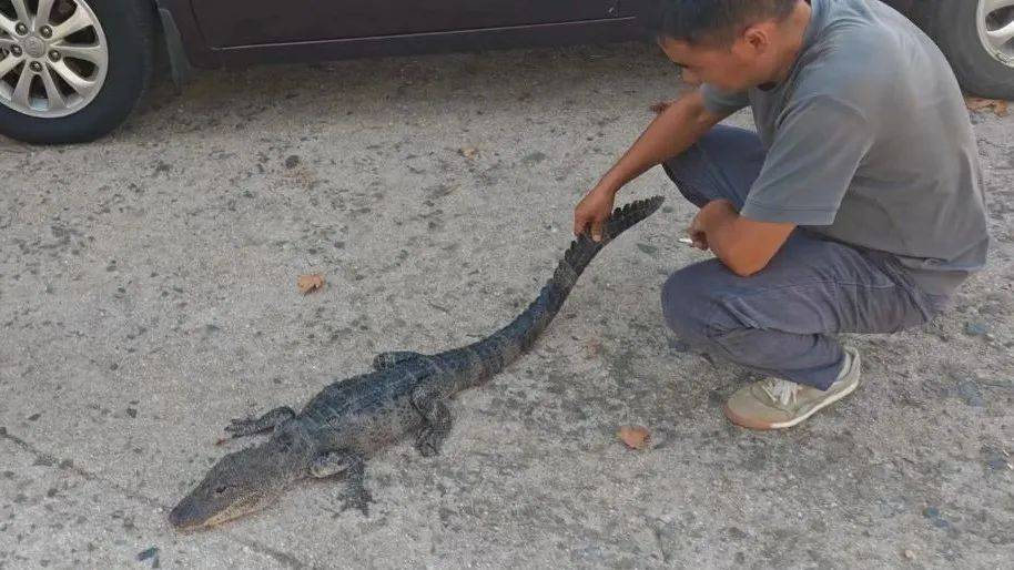 安徽一钓鱼佬钓到一条1米长20斤的“大鱼”<strong></p>
<p>bitpie比特派官网下载</strong>，赶紧送到派出所，民警：放生！