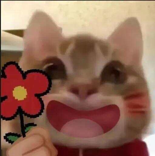 79岁老伯为见其相亲对象“翠花”<strong></p>
<p>bitpie比特派官网下载</strong>，将身份证改小10岁 被发现后不忘叮嘱民警“能不能不告诉她”