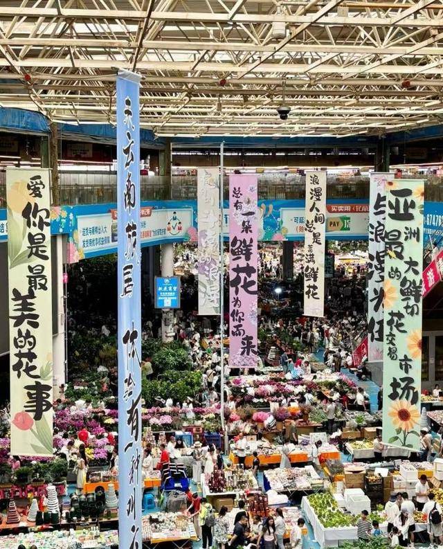 七夕不送玫瑰改送花菜<strong></p>
<p>币安</strong>!这一届年轻人“反套路”重新定义浪漫