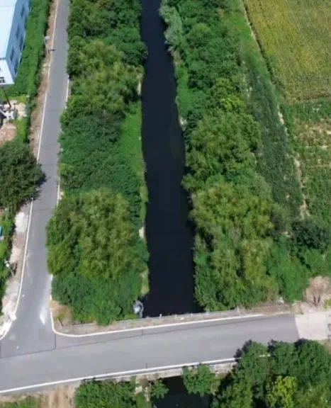 去年整改过的“黑水河”<strong></p>
<p>币安</strong>，今年怎么又黑了？ | 新京报快评